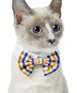Frisco Plaid Dog & Cat Bow Tie, Orange & Blue 9 Frisco Plaid Dog & Cat Bow Tie, Orange & Blue -The Frisco Store 248723 PT2. SY630 V1613767680