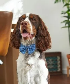 Frisco Plaid Dog & Cat Bow Tie, Blue -The Frisco Store 248727 PT7. SY630 V1614362538