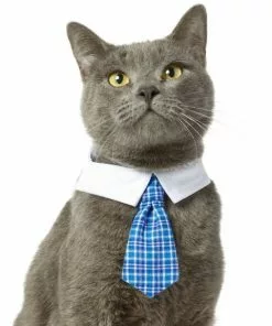 Frisco Plaid Dog & Cat Neck Tie, Blue Plaid 9 Frisco Plaid Dog & Cat Neck Tie, Blue Plaid -The Frisco Store 248738 PT2. SY630 V1614365483