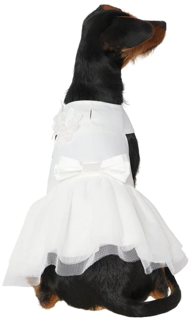 Frisco Formal Dog Wedding Dress 3 Frisco Formal Dog Wedding Dress
