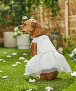 Frisco Formal Dog Wedding Dress 15 Frisco Formal Dog Wedding Dress -The Frisco Store 248743 PT7. SY630 V1614118361