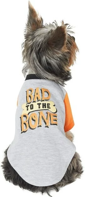Frisco Bad to the Bone Dog & Cat T-Shirt 3 Frisco Bad to the Bone Dog & Cat T-Shirt