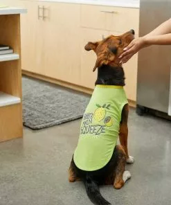 Frisco Mama's Main Squeeze Dog & Cat T-Shirt -The Frisco Store 248852 PT5. SY630 V1644960403