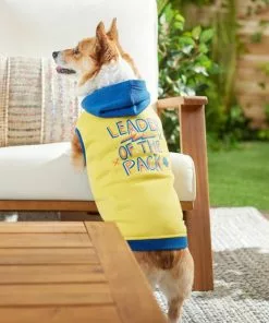 Frisco Leader of the Pack Dog & Cat Hoodie -The Frisco Store 248905 PT7. SY630 V1613752118