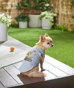 Frisco Give Me My Space Dog & Cat T-Shirt -The Frisco Store 249011 PT4. SY630 V1624601572