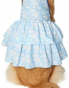 Frisco Blue Daisies Dog & Cat Dress -The Frisco Store 249044 PT2. SY630 V1637691458