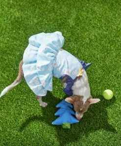 Frisco Blue Daisies Dog & Cat Dress -The Frisco Store 249044 PT7. SY630 V1644464818