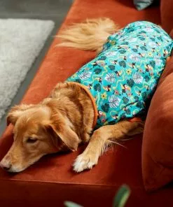 Frisco Jungle Paradise Dog & Cat Jersey PJs -The Frisco Store 249111 PT7. SY630 V1614361962