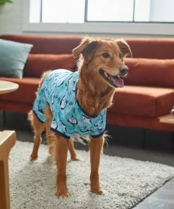 Frisco Happy Shark Dog & Cat Jersey PJs -The Frisco Store 249122 PT7. SY630 V1614276183