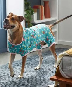 Frisco Teal Floral Dog & Cat Jersey PJs 14 Frisco Teal Floral Dog & Cat Jersey PJs -The Frisco Store 249132 PT5. SY630 V1637725019
