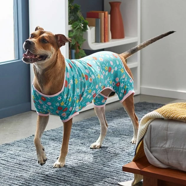 Frisco Teal Floral Dog & Cat Jersey PJs 8 Frisco Teal Floral Dog & Cat Jersey PJs - Image 6