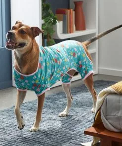 Frisco Teal Floral Dog & Cat Jersey PJs 15 Frisco Teal Floral Dog & Cat Jersey PJs -The Frisco Store 249132 PT7. SY630 V1614376401