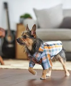 Frisco Plaid Dog & Cat Button Up Shirt -The Frisco Store 249173 PT7. SY630 V1614103793