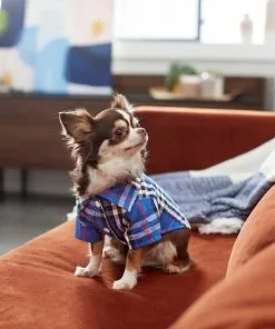 Frisco Plaid Dog & Cat Button Up Shirt, Navy Plaid -The Frisco Store 249176 PT6. SY630 V1624598867