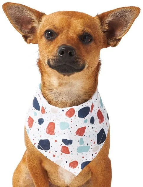 Frisco Colorful Terrazzo Dog & Cat Bandana 5 Frisco Colorful Terrazzo Dog & Cat Bandana - Image 3