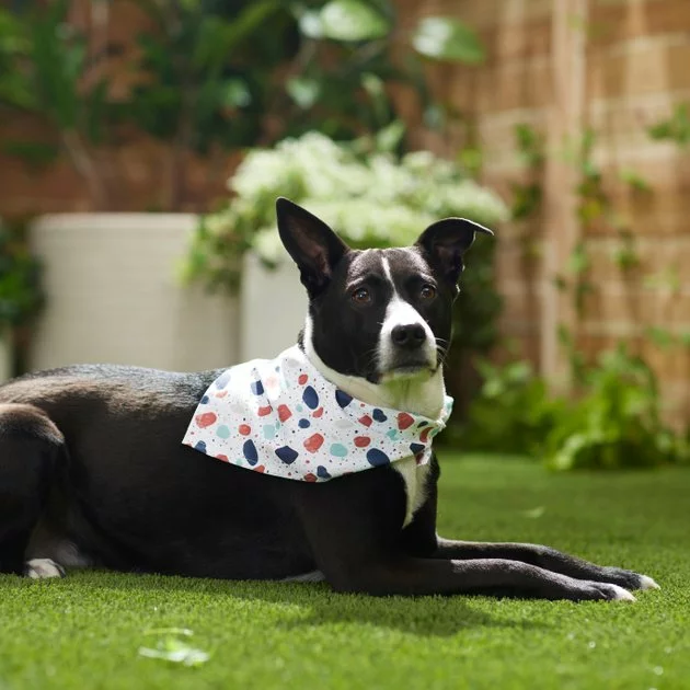 Frisco Colorful Terrazzo Dog & Cat Bandana 8 Frisco Colorful Terrazzo Dog & Cat Bandana - Image 6