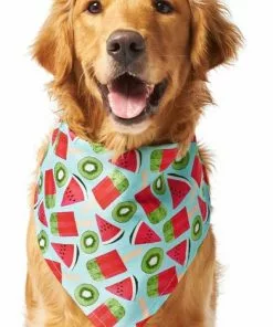 Frisco Fruity Summer Dog & Cat Bandana -The Frisco Store 249204 PT2. SY630 V1637644629