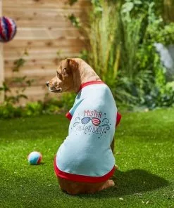 Frisco Mister Independent Dog & Cat T-Shirt -The Frisco Store 249237 PT4. SY630 V1624612960