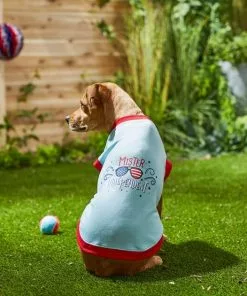 Frisco Mister Independent Dog & Cat T-Shirt -The Frisco Store 249237 PT7. SY630 V1614362555