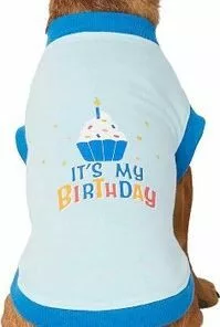Frisco It's My Birthday & Cat T-Shirt, Blue -The Frisco Store 249248 PT2. SY630 V1624618352
