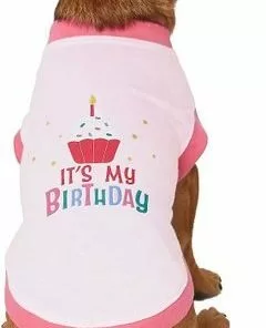 Frisco It's My Birthday & Cat T-Shirt, Pink -The Frisco Store 249255 PT2. SY630 V1624608150