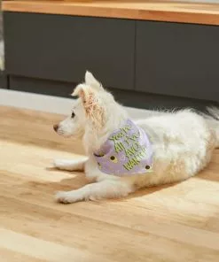 Frisco You're All I've Avo Wanted Dog & Cat Bandana -The Frisco Store 249292 PT4. SY630 V1637644623