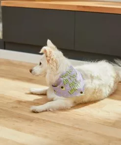Frisco You're All I've Avo Wanted Dog & Cat Bandana -The Frisco Store 249292 PT5. SY630 V1614657706