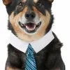 Frisco Stripes Dog & Cat Neck Tie -The Frisco Store 249301 MAIN. SY630 V1614659236