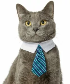 Frisco Stripes Dog & Cat Neck Tie -The Frisco Store 249301 PT2. SY630 V1614658396