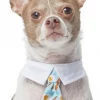 Frisco Brunch Dog & Cat Neck Tie -The Frisco Store 249305 MAIN. SY630 V1614274894