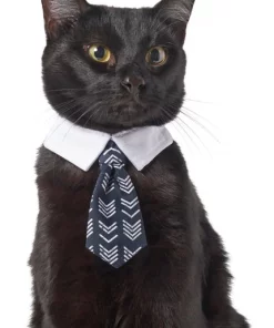 Frisco Boho Dog & Cat Neck Tie -The Frisco Store 249307 PT2. SY630 V1614274579