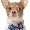 Frisco Floral Dog & Cat Bow Tie -The Frisco Store 249325 MAIN. SY630 V1614274916