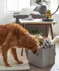 Frisco Square Collapsible Pet Toy Storage Bin, Gray Basket Weave -The Frisco Store 250568 PT3. SY630 V1615572162