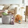Frisco Round Collapsible Pet Toy Storage Bin, Gray Basket Weave -The Frisco Store 250585 MAIN. SY630 V1615242785