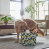 Frisco Round Collapsible Pet Toy Storage Bin, Yellow Geometric -The Frisco Store 250587 MAIN. SY630 V1615242941