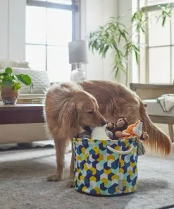 Frisco Round Collapsible Pet Toy Storage Bin, Yellow Geometric -The Frisco Store 250587 PT3. SY630 V1615572147