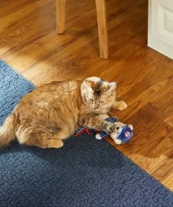 Frisco Baseball Bear Kicker Cat Toy -The Frisco Store 252730 PT5. SY630 V1615814492