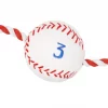 Frisco Baseball Plush with Rope Dog Toy -The Frisco Store 252752 MAIN. SY630 V1613158294