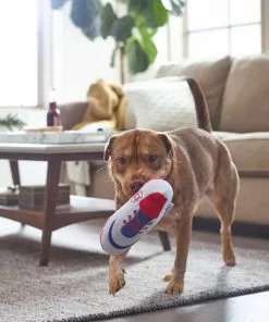 Frisco Baseball Cleat Latex Dog Toy 7 Frisco Baseball Cleat Latex Dog Toy -The Frisco Store 252764 PT5. SY630 V1615814650