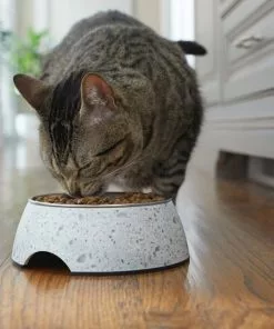 Frisco Quartz Design Stainless Steel Dog & Cat Bowl 12 Frisco Quartz Design Stainless Steel Dog & Cat Bowl -The Frisco Store 253042 PT2. SY630 V1616594192