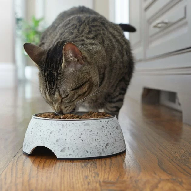 Frisco Quartz Design Stainless Steel Dog & Cat Bowl 5 Frisco Quartz Design Stainless Steel Dog & Cat Bowl - Image 3