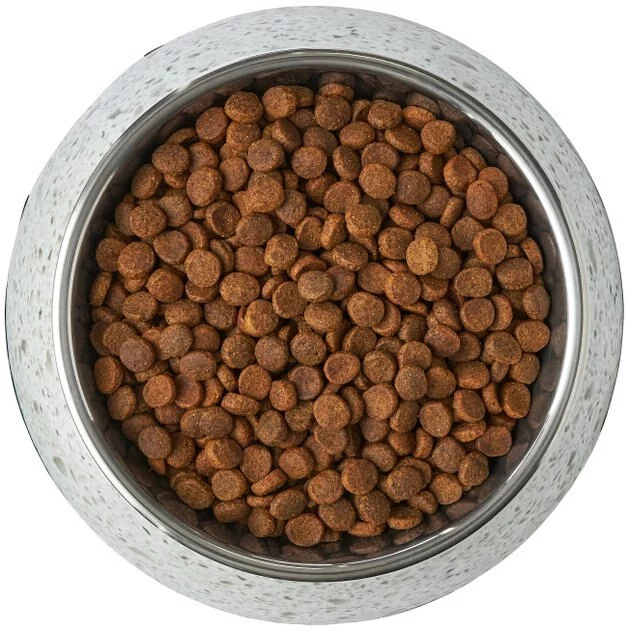 Frisco Quartz Design Stainless Steel Dog & Cat Bowl 8 Frisco Quartz Design Stainless Steel Dog & Cat Bowl - Image 6