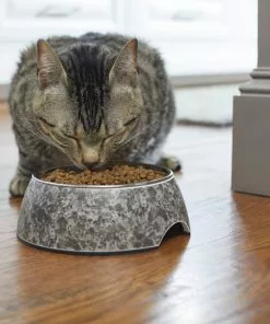 Frisco Black Marble Design Stainless Steel Dog & Cat Bowl 12 Frisco Black Marble Design Stainless Steel Dog & Cat Bowl -The Frisco Store 253046 PT2. SY630 V1616599598
