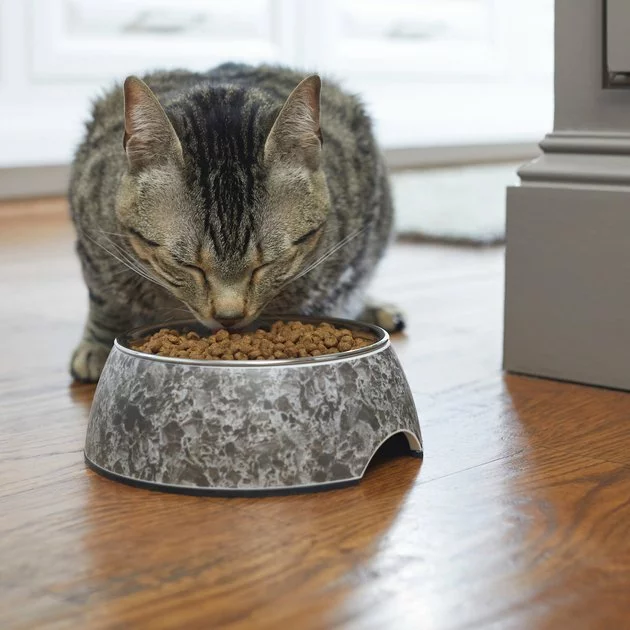 Frisco Black Marble Design Stainless Steel Dog & Cat Bowl 5 Frisco Black Marble Design Stainless Steel Dog & Cat Bowl - Image 3