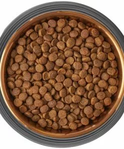 Frisco Matte Black Design Light Copper Stainless Steel Dog & Cat Bowl -The Frisco Store 253050 PT5. SY630 V1616526818