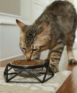 Frisco Elevated Stainless Steel Dog & Cat Bowl with Metal Stand -The Frisco Store 253054 PT2. SY630 V1616594197