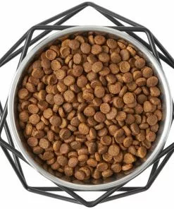 Frisco Elevated Stainless Steel Dog & Cat Bowl with Metal Stand -The Frisco Store 253054 PT5. SY630 V1616595535