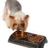 Frisco Copper Stainless Steel Double Dog & Cat Bowls with Black Marble Stand, 0.75 Cups -The Frisco Store 253058 MAIN. SY630 V1616075012