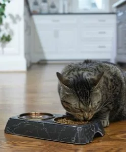 Frisco Copper Stainless Steel Double Dog & Cat Bowls with Black Marble Stand, 0.75 Cups -The Frisco Store 253058 PT2. SY630 V1616594213