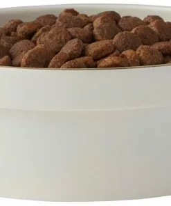 Frisco Gold Trim Melamine Dog & Cat Bowl, Cream -The Frisco Store 253062 PT3. SY630 V1616595685